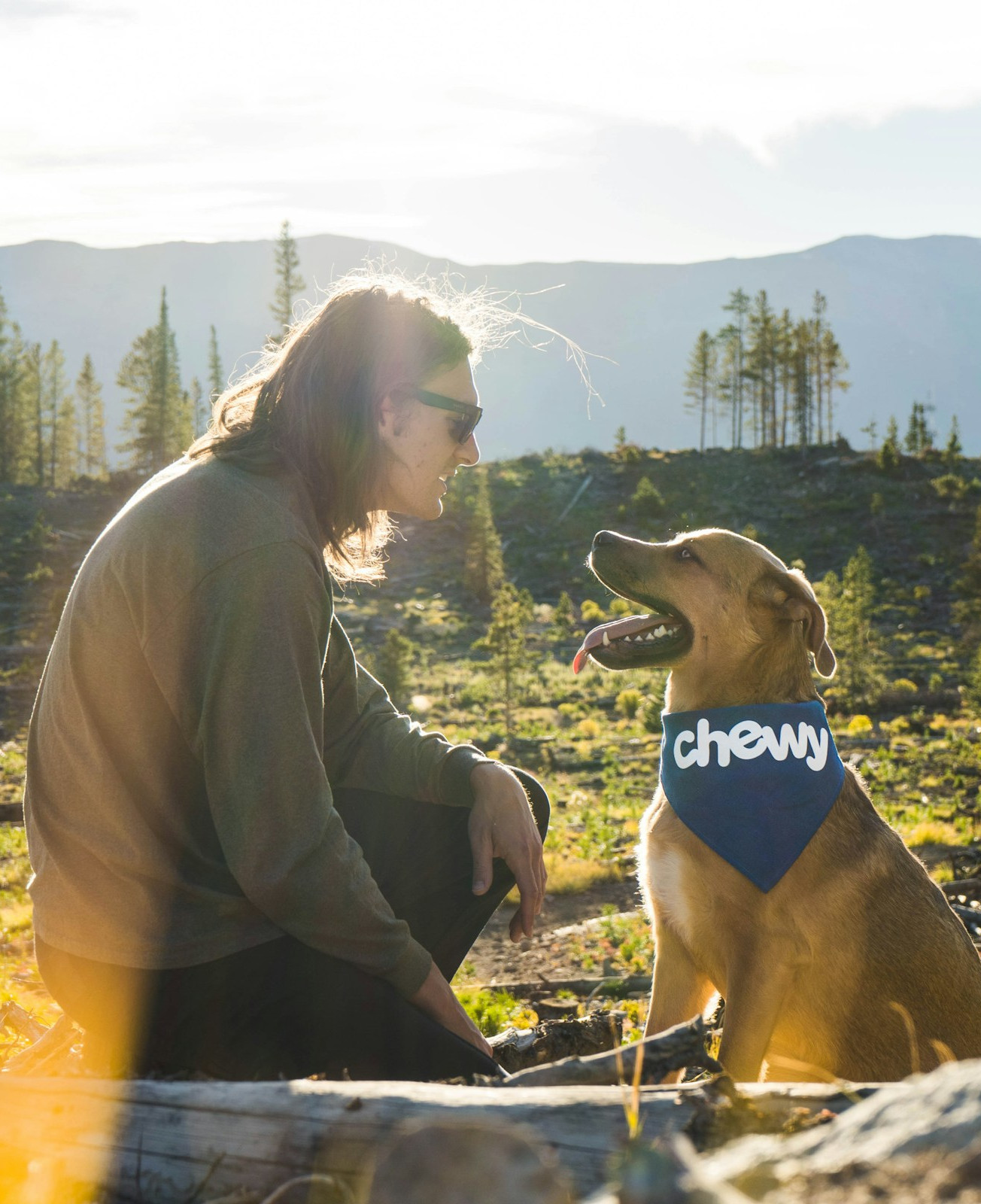 Build a strong bond between you and your dog, using positive, reward-based training. Picture of a happy dog holding a ball in its mouth.